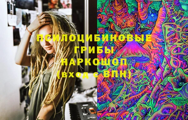 твердый Арсеньев