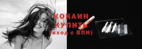 твердый Арсеньев