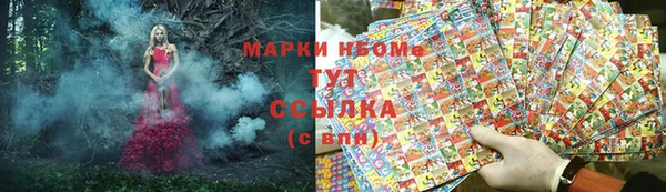 твердый Арсеньев