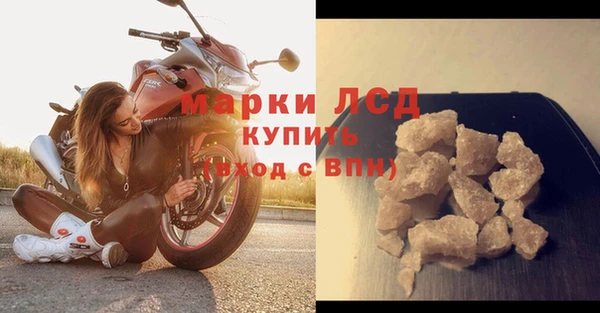 твердый Арсеньев