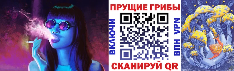 как найти закладки  Кущёвская  Псилоцибиновые грибы GOLDEN TEACHER 